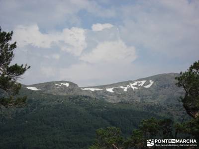 Valle del Lozoya - Camino de la Angostura;fruto del tejo sitios visitar madrid